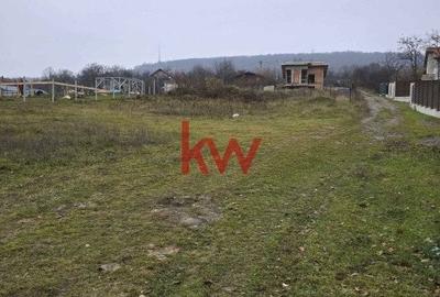 Teren Intravilan in Pietraria Barnova - 3