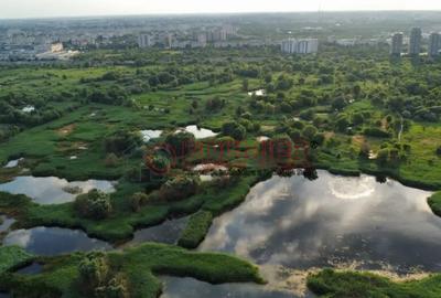 Apartament cu 3 camere decomandat în Văcăresti - 14