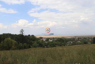 Teren de 1195 mp, în Poiana Angelescu - 7