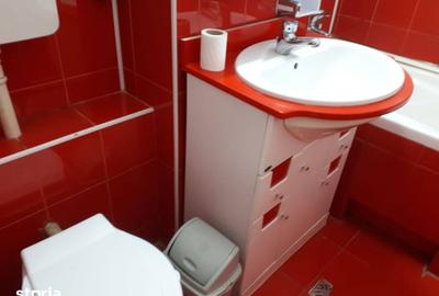 Apartament cu 2 camere în Grigorescu - 8