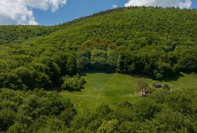 Teren de vanzare - Colonia 1 Mai, 5.310 mp, ideal pentru investitie - 3