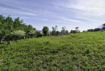 Teren de 5600 mp, în Hințești - 2