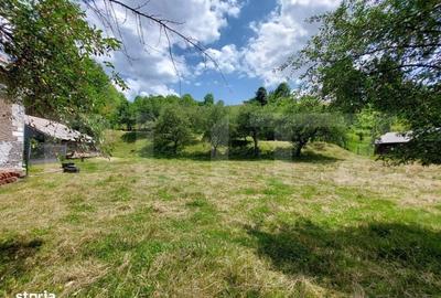 Casă cu 4 camere în Doroteia - 12