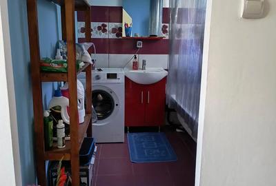 Casă cu 2 camere în Alioș - 6