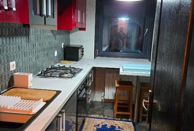 Apartament cu 2 camere semidecomandat, mobilat în City Park Mall - 7