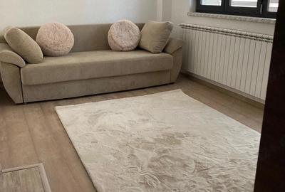 Garsonieră semidecomandată în Brazda lui Novac - 2