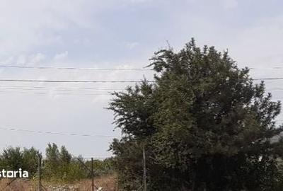 Teren de 16000 mp, în Progresul - 1