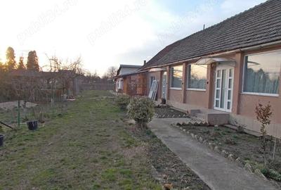Casă cu 4 camere cu Teren 1350 Mp în Beregsău Mic - 2