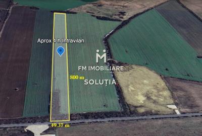 Teren de 40000 mp, în Crevedia