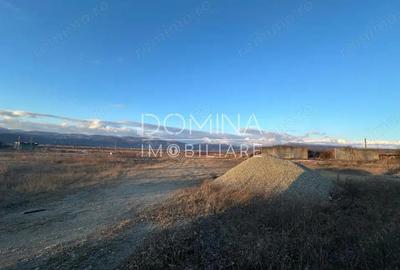 Vanzare teren intravilan 2,5 ha - infrastructura industriala ?i hala func?ionala - 2