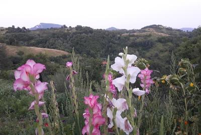 Vand casa de lemn la munte - 2