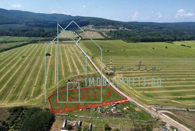 De vanzare parcele de teren intravilan in Petresti, Jud, Alba, 600 mp - 1