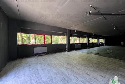 De inchiriat spatii comerciale, hale si birouri - 2