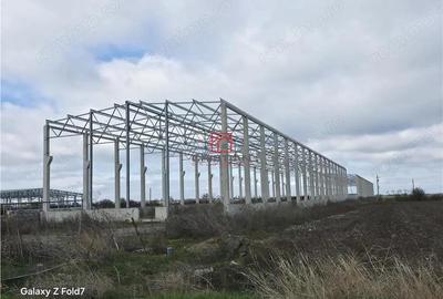 Vanzare depozit hala spatiu industrial Mogosoaia - Buftea - 7