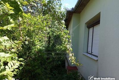 Casă cu 3 camere cu Teren 3320 Mp în Căpușu Mare - 13