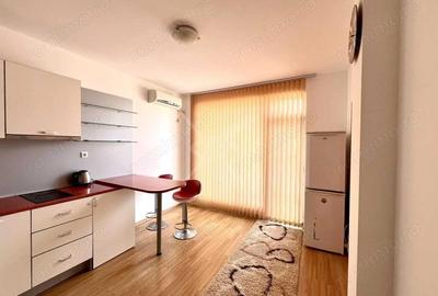 Apartament cu 1 camera in zona Mehala - 2