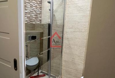 Apartament cu 2 camere, mobilat în Tătărași - 10
