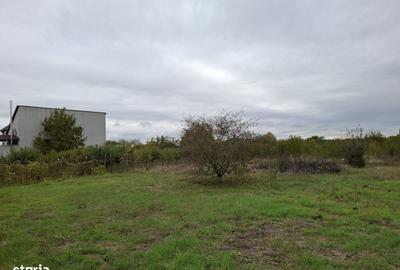 Teren de 1900 mp, în Corbeanca - 8