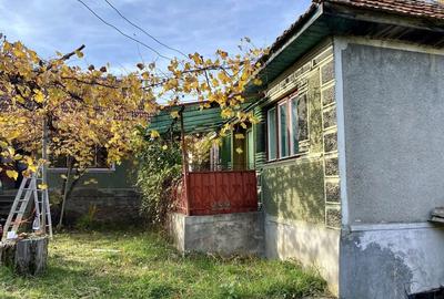 Casă cu 4 camere cu Teren 3400 Mp în Cornițel - 2