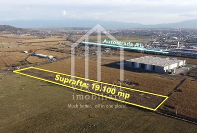 Teren agricol intravilan de 19100 mp, în Veterani - 2