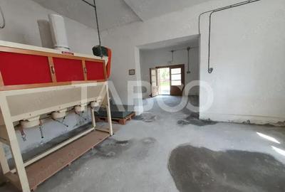 Casă cu 5 camere cu Teren 7830 Mp în Viștea - 4