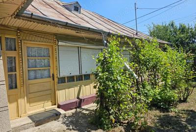 Proprietate la ?ara casa batraneasca + anexe + teren 2.713 mp - 7