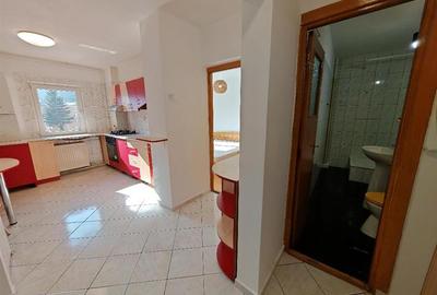 Apartament cu 2 camere decomandat, mobilat în Județean - 17