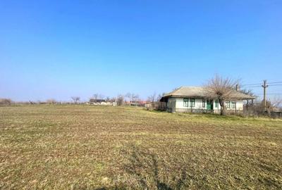 Teren Intravilan Daeni Tulcea - 1