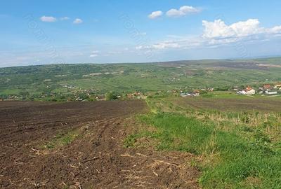 Teren de 16100 mp, în Iris