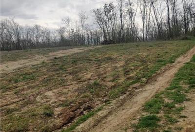 RECO . TEREN INTRAVILAN PALEU - 16