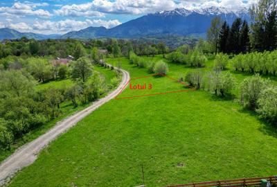 Teren Construcții intravilan de 500 mp, în Tohănița - 2