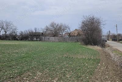 Casă cu 3 camere în Giurgița - 4