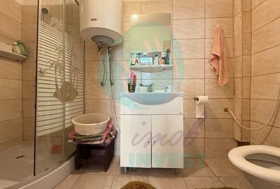 Casa singura in curte la 2 pasi de Calea Calarasilor Casa singura in curte la 2 pasi de Calea Calarasilor - 10