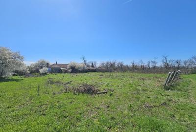 Teren Construcții intravilan de 2000 mp, în Topraisar - 1