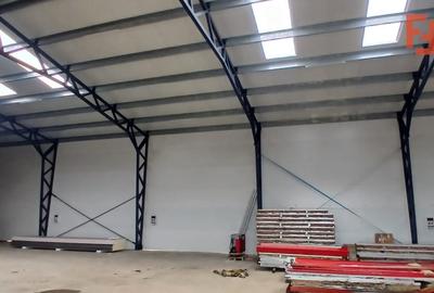 Spațiu industrial, de 576 mp, în Giarmata - 7