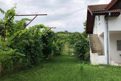 Casă cu 4 camere în Batoți - 4