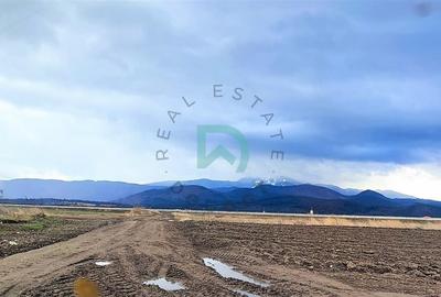 Teren agricol extravilan de 136000 mp, în Cristian - 1