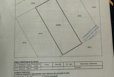 Teren de vanzare Belis - 1