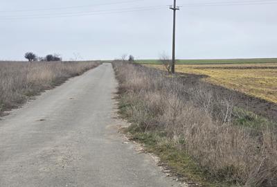 Teren Construcții intravilan de 4250 mp, în Tuzla - 4