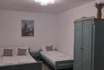 Casă cu 3 camere cu Teren 165 Mp în Sasca Montană - 9