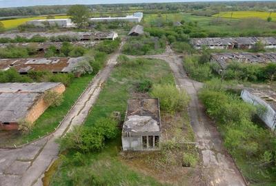 Vand Fost Complex de porci - 6