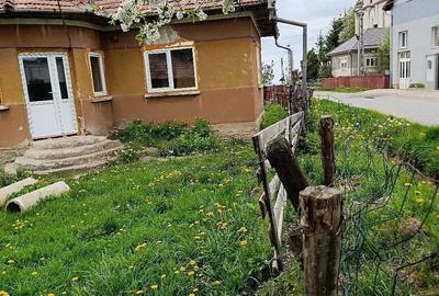 Casă cu 3 camere cu Teren 500 Mp în Dângău Mare - 7