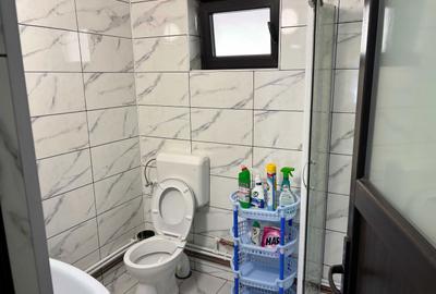 Casă cu 2 camere în Valea Pechii - 4