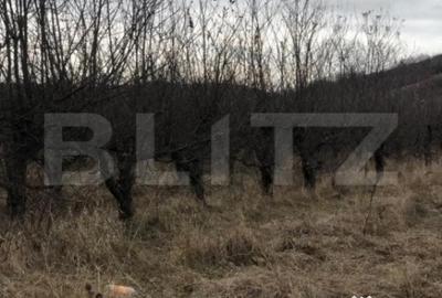 Teren de 3278 mp, în Central - 2