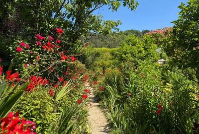 Teren de 1100 mp, în Central - 2