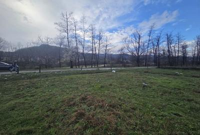 Teren de 8000 mp, în Vlădesti - 2