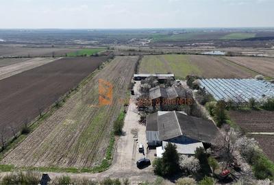 Oportunitate in domeniul agricol teren + constructii zona Scurtesti - 3