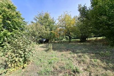 Comision 0. Teren cu autorizatie de construire in Salicea Comision 0. Teren cu autorizatie de construire in Salicea - 7