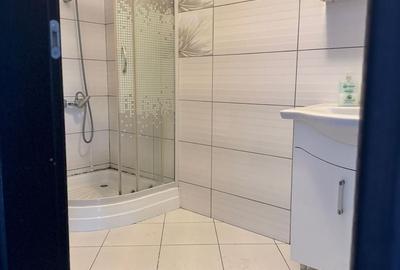 Apartament cu 2 camere semidecomandat în Sud-Vest - 9