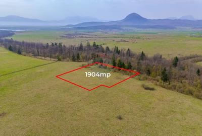 Teren Crizbav 1904 mp/PUZ/Langa Padure/Intravilan